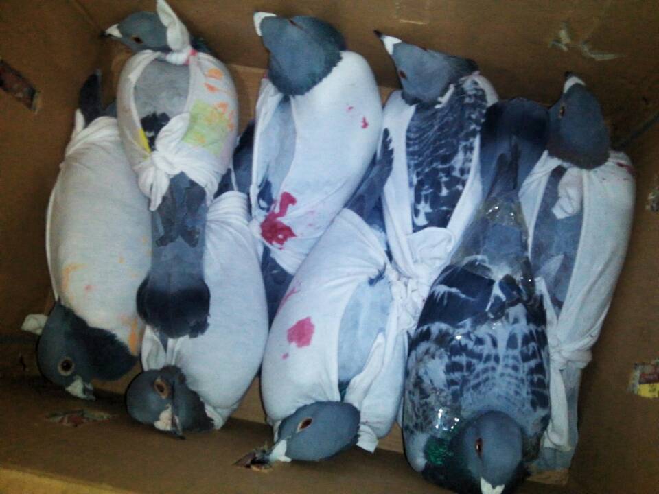 ����˽���ɹ���(��ͼ)