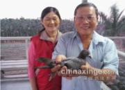 �԰��ӽǣ�̨����ѻع˿纣��(ͼ)