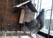 ������������������˶��������