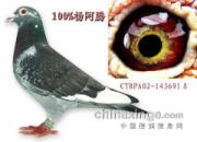 �Ϻ����δ����Ѹ� ���Ϲ黹(ͼ)