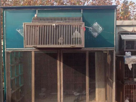 �ñ�ı��������˹��绰����(ͼ)