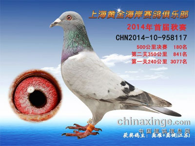 ��Զ��Ʒϵ�빫����������(ͼ)