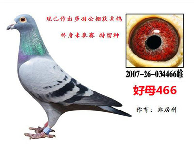 ���ְ��������ִ�(ͼ)