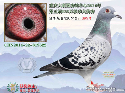 14���ܽ᣺�ص����������̭