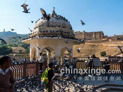 ��Ӱ��ӡ�ȳǱ��ĸ���(ͼ)