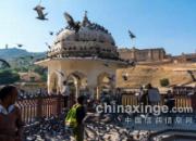 ��Ӱ��ӡ�ȳǱ��ĸ���(ͼ)