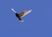 ��������������