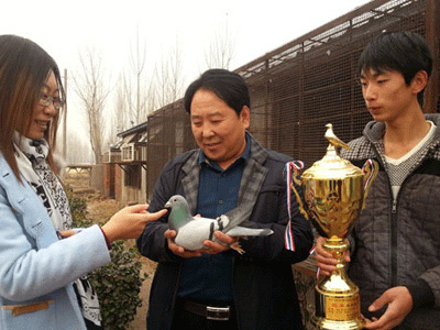 �ӱ�Ǩ�������죺Ҫ�ڼ��罨BOB(ͼ)