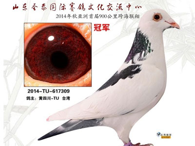 �׽�纣����ɽ��ʥ̩900����񽱸���Ƭ(ͼ)