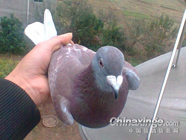 ���ҡ�ûǮ��װB