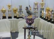 �ɶ���չ�ֳ��ɷ磺�ּ��������(ͼ)