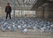 �������ǿ���530�������(������)����4376��