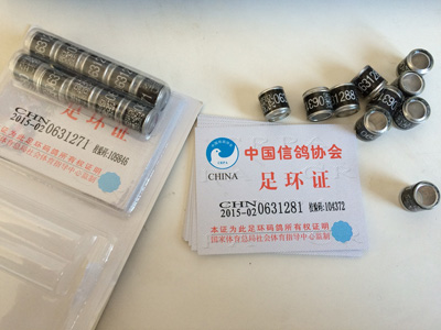 2015���㻷��ɶ����