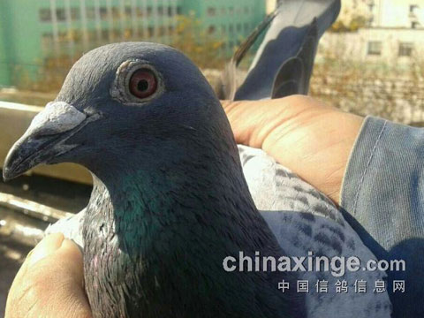 ֣���׿��Ϻ��ر��Ⱥ� ����2��3��4��(ͼ)