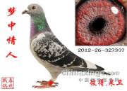 �����ӣ�����ط���ͬ�����(ͼ)