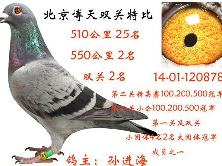 �������550�����Ǿ�ǰʮ����(ͼ)