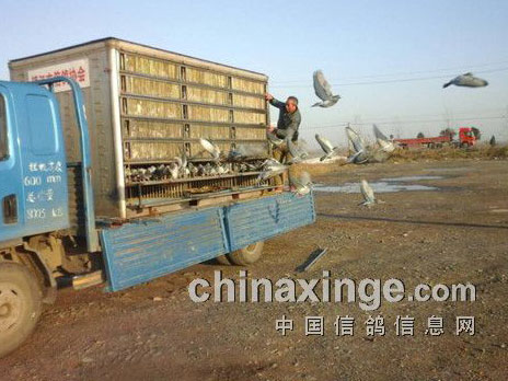 ��˾�ŵı����ɳ��߷���(ͼ)