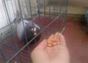 ʮԪ������ ���Ҷ�ھ�