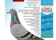 ��ĸȫ�Ҹ�(��Ƭ)