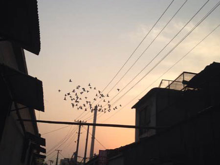 ��ϱ����1.4�����رȻ�(ͼ)