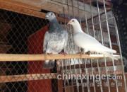 ��������ˮ�룺��ȥ�ĸ���(ͼ)