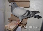 ����Ǯ�ĸ���300����(ͼ)