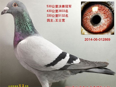 �������ǿ��վ���ǰ���λ񽱸�����(ͼ)