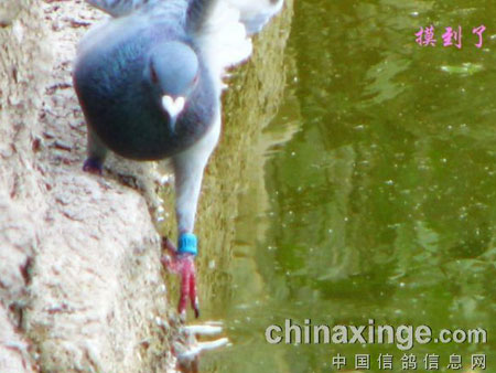 ������ʧ������ ��������(ͼ)