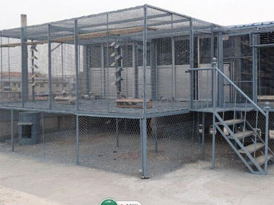 60ƽ�׸�������깤(ͼ)