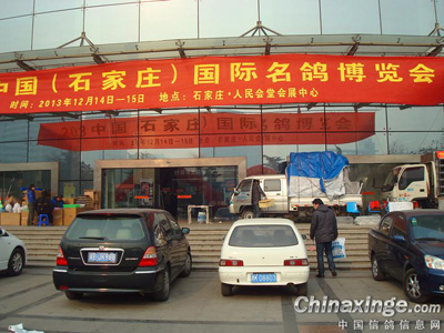 ʯׯչ쿪Ļ չ̲ѯ(ͼ)