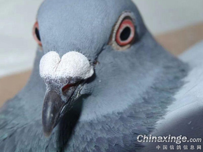 12Ԫ�����ս �����촴��ϲ(ͼ)