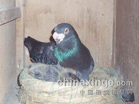 ���գ�700����12��ھ������ۡ������贫��