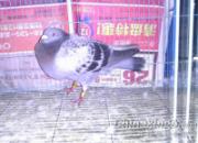 ��ѧ���Σ�ͼʾ���������(ͼ)
