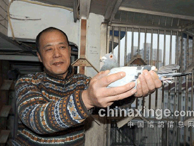 ӿȪ�౨�Ϻ�������