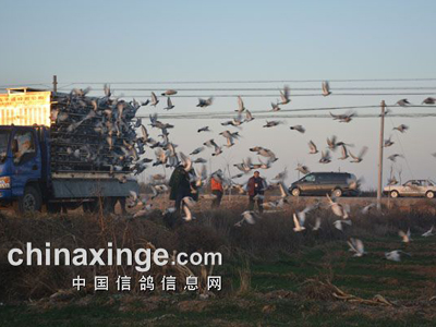 �����Ӯ�ң�һ������롰12�ڡ�����(ͼ)