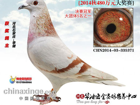 һ�����ݽ��С�������Ϊ(ͼ)
