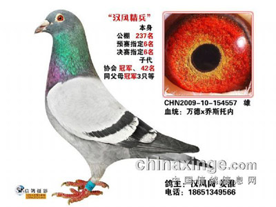 ˳��˳�Ƴ��ø뼸�ʴ�(ͼ)