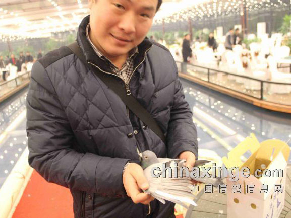 �Ϻ��ƽ𺣰�����ھ������(ͼ)