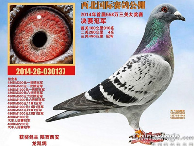 �͵���ʦ������ն�����������(ͼ)