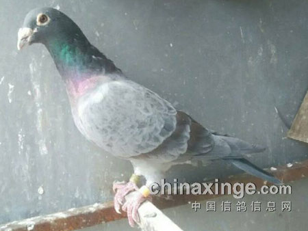 �ҵĸ��Ӳ���˭������(ͼ)