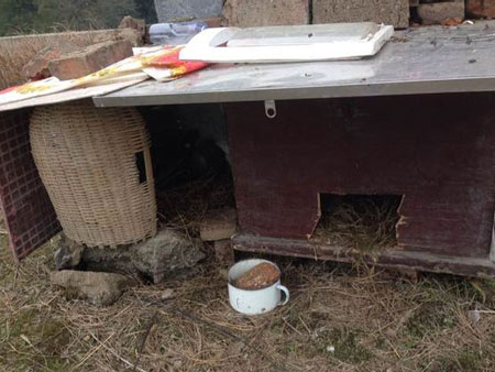 �ھ���ԭ��������(ͼ)