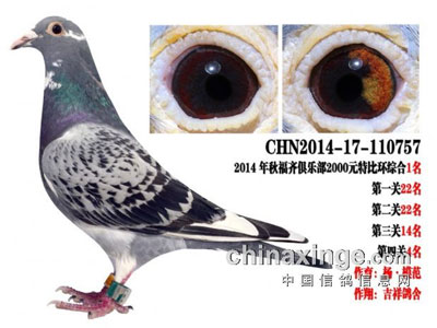 �人�����Ĺظ���ǰʮ������(ͼ)