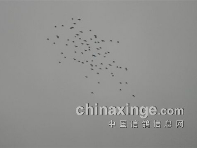 ��ɽ�ٿ�2���� �����������(ͼ)