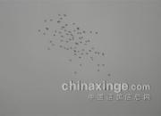 ��ɽ�ٿ�2���� �����������(ͼ)