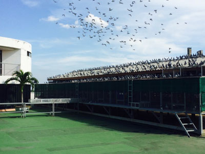 ̩������������й�������Χ6�� ��Ե�ھ�(ͼ)