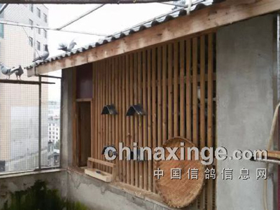 �ҵ�����·����������(һ)(ͼ)