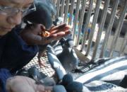 ���飺�����޳��������롱����