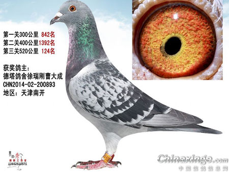 ����ͻ�ƣ��̾���Ԥ����Χǰʮ(ͼ)