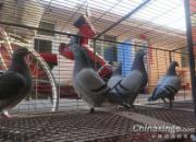 �����Ҹ���ɳ��ھ�(ͼ)