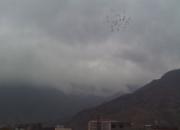 ����638��350������������ɻ�